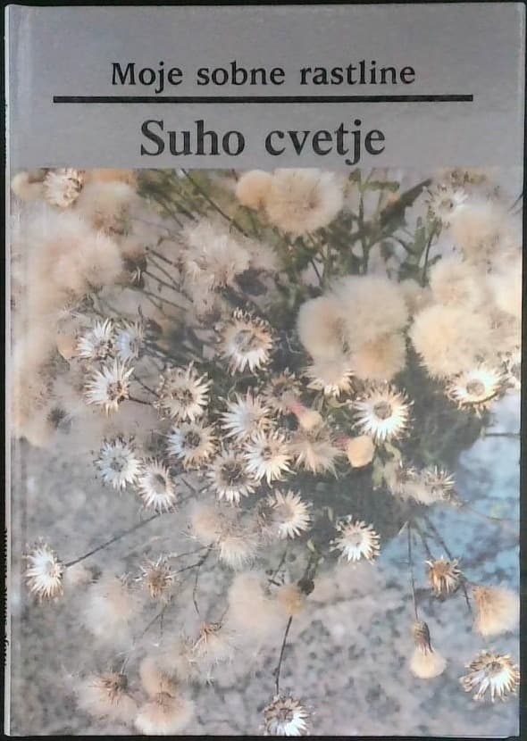 Moje sobne rastline / Suho cvetje - slika 2