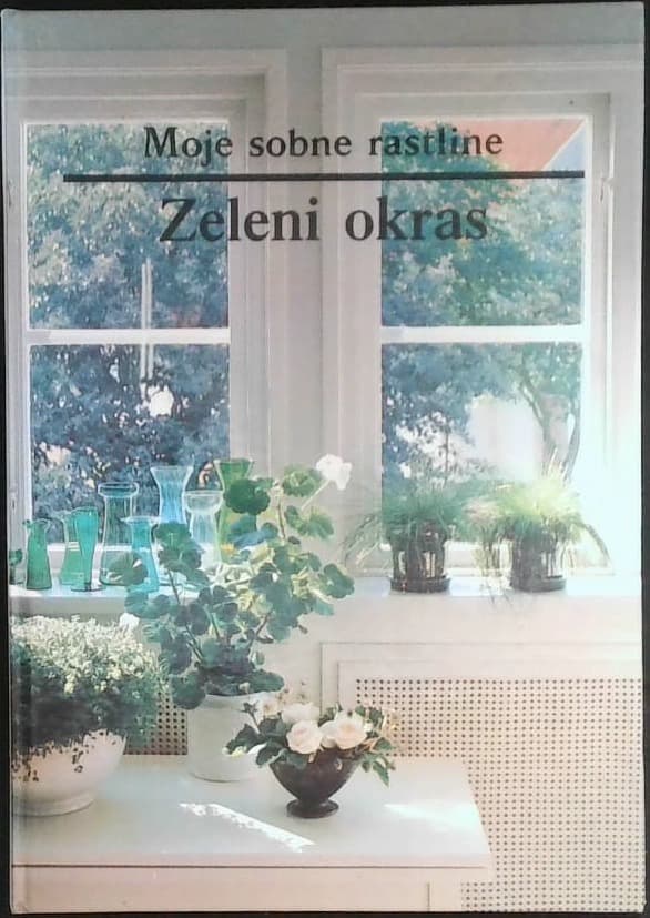 Moje sobne rastline / Zeleni okras - slika 2