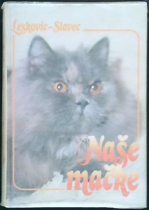 Naše mačke - slika 2