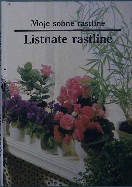 Moje sobne rastline / Listnate rastline - slika 2