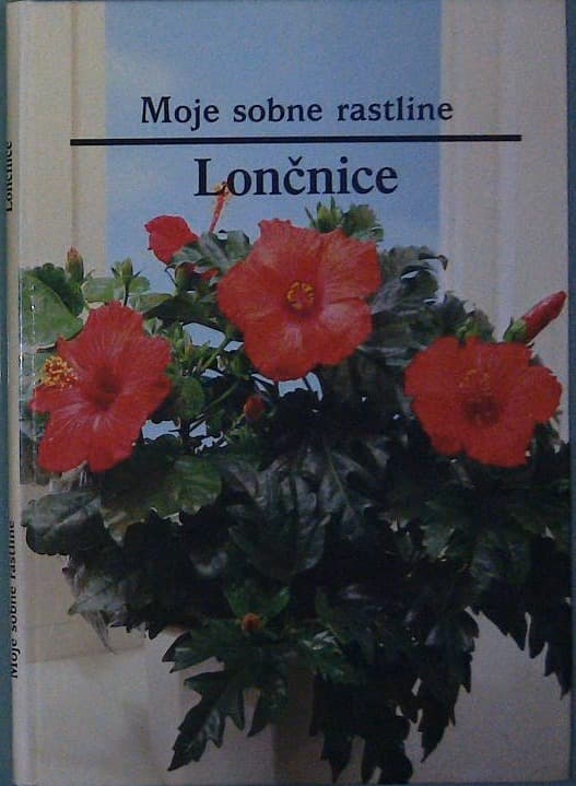 Moje sobne rastline / Lončnice - slika 2