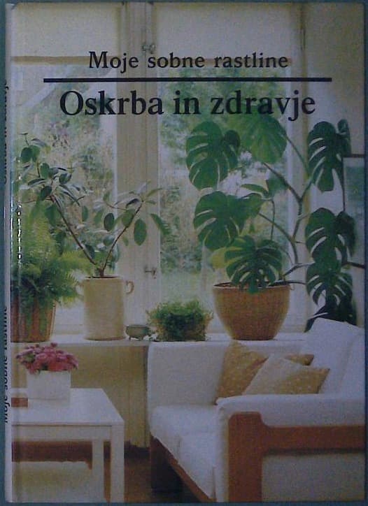Moje sobne rastline / Oskrba in zdravje - slika 2