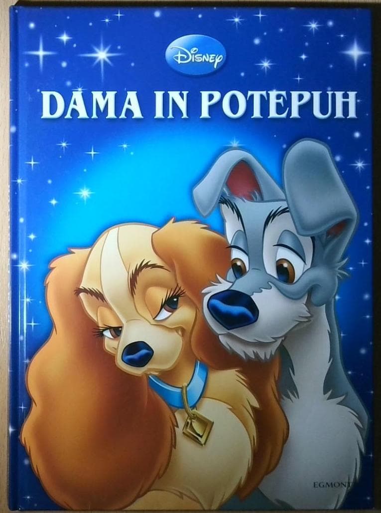 Dama in potepuh - slika 2