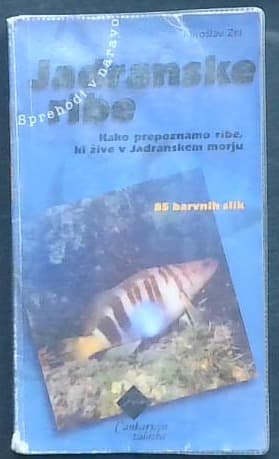 Jadranske ribe - slika 2