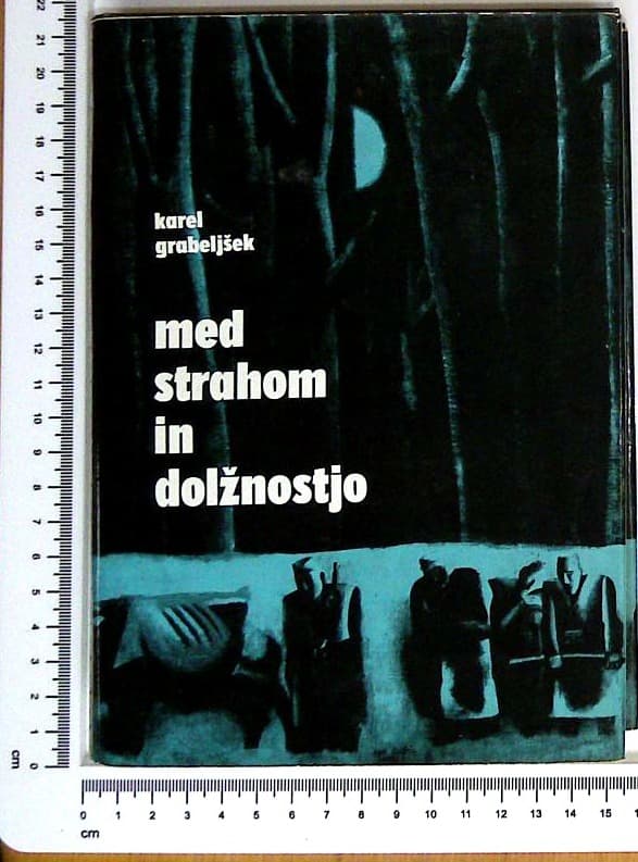 Med strahom in dolžnostjo - slika 2