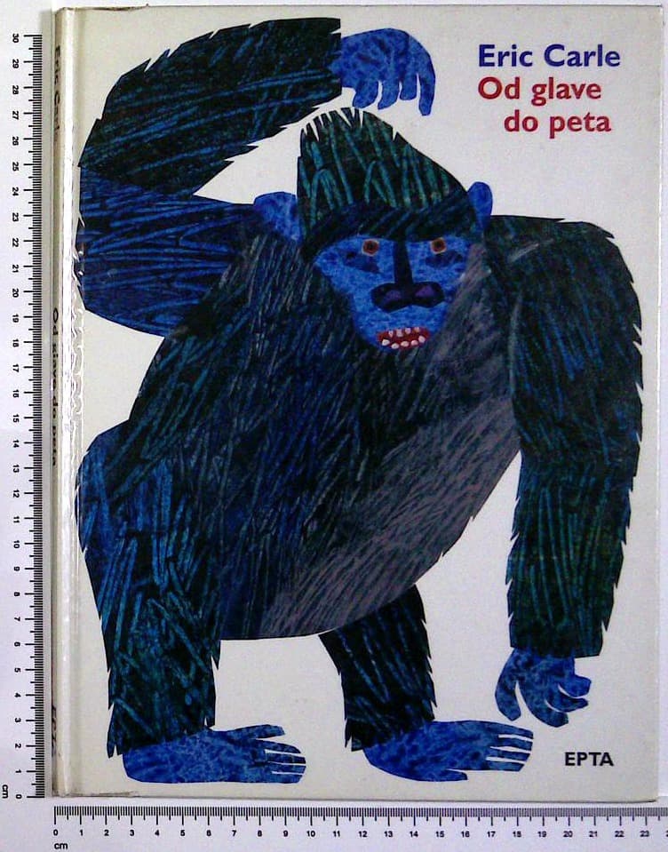 Od glave do pete