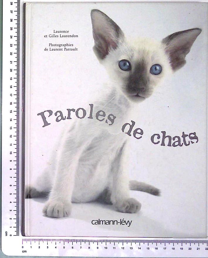 Paroles de chats 