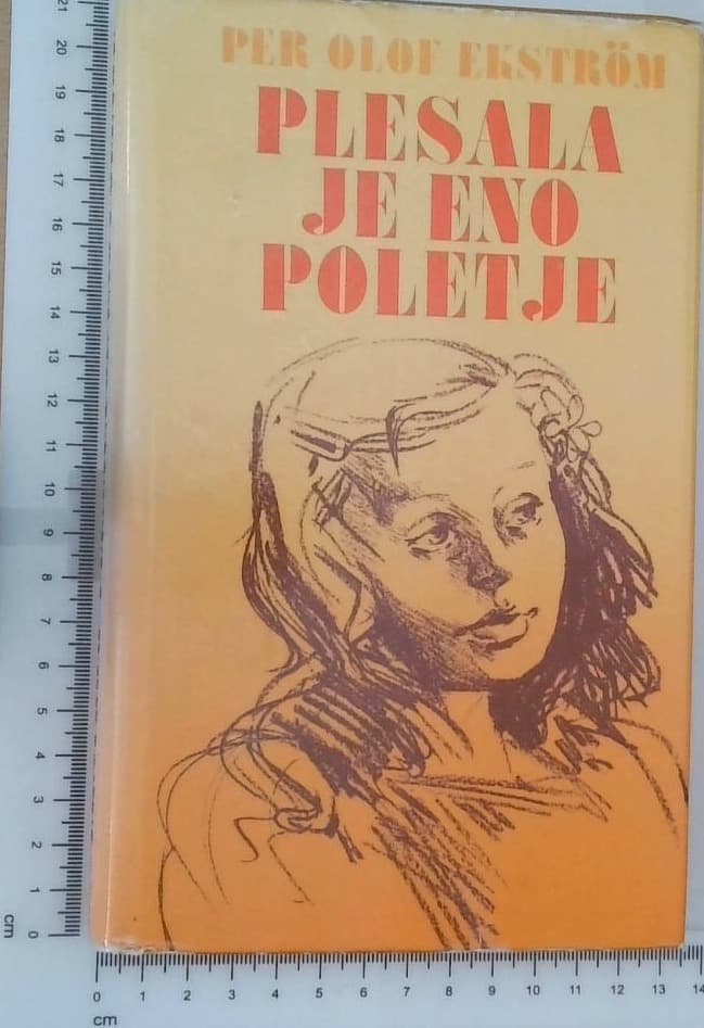 Plesala je eno poletje - slika 3