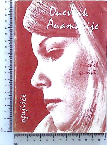 Dnevnik Anamarije