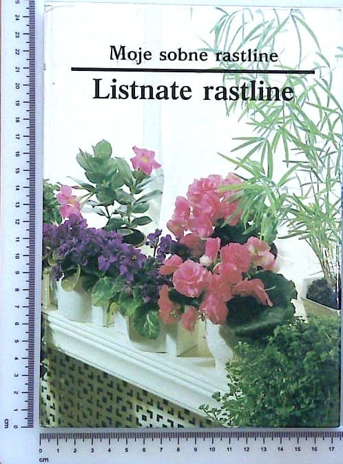 Moje sobne rastline / Listnate rastline