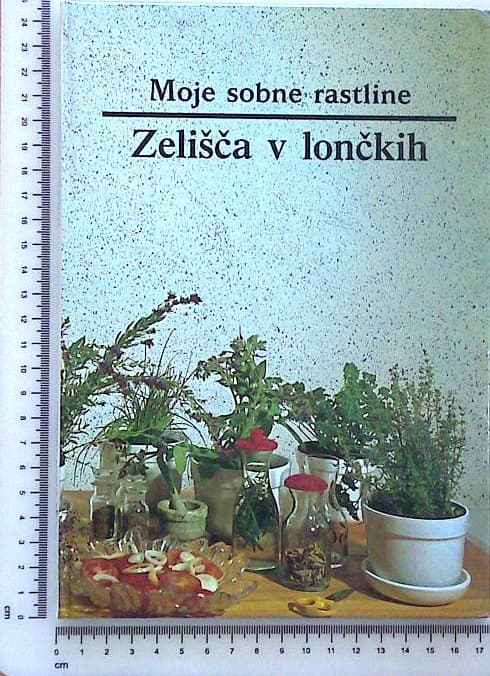 Moje sobne rastline / Zelišča v lončkih