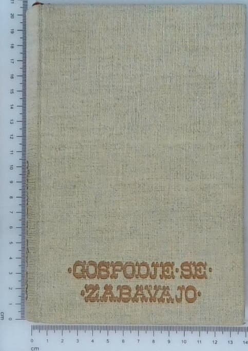 Gospodje se zabavajo