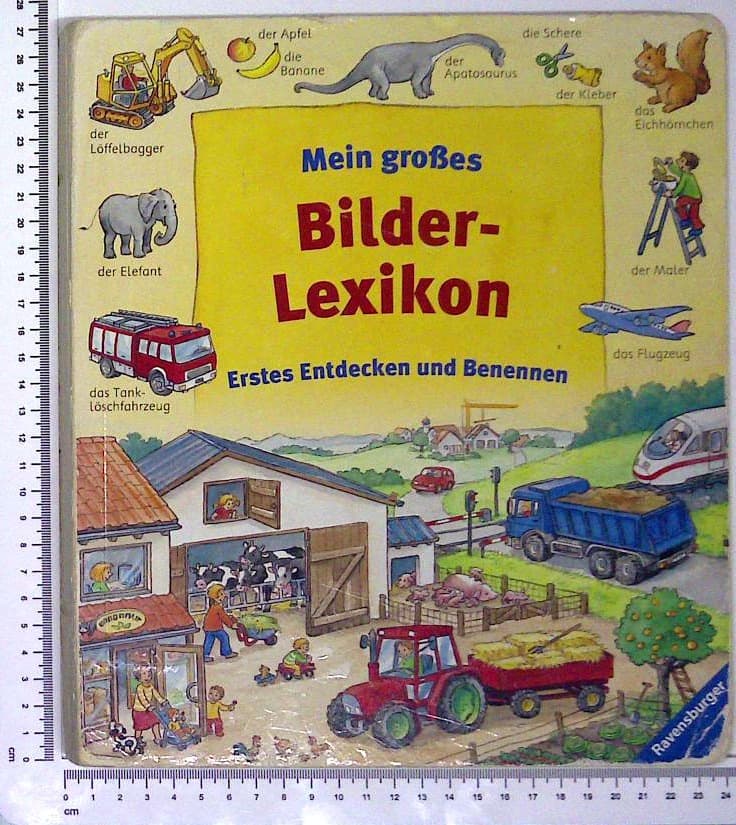 Mein  großes Bilder Lexikon : Erstes Entdecken und Benennen