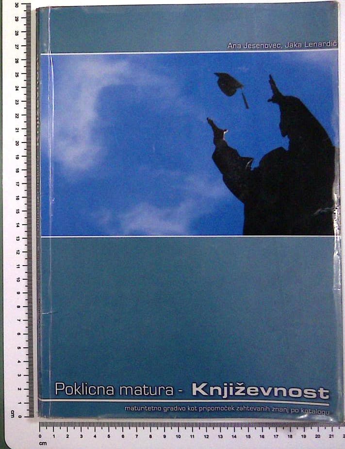 Poklicna matura - Književnost 2004