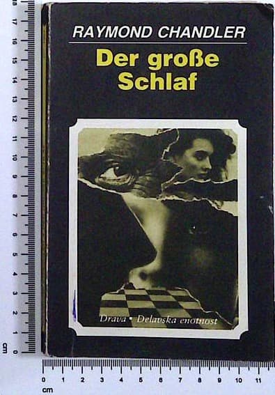  Der große Schlaf