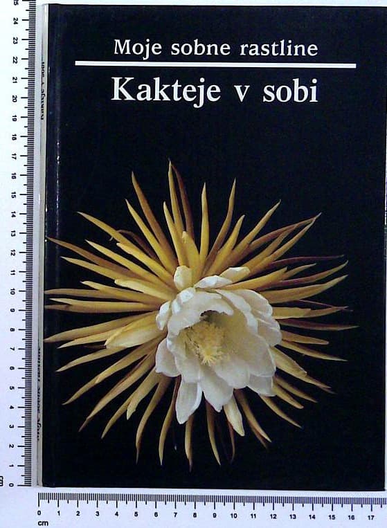 Moje sobne rastline / Kakteje v sobi