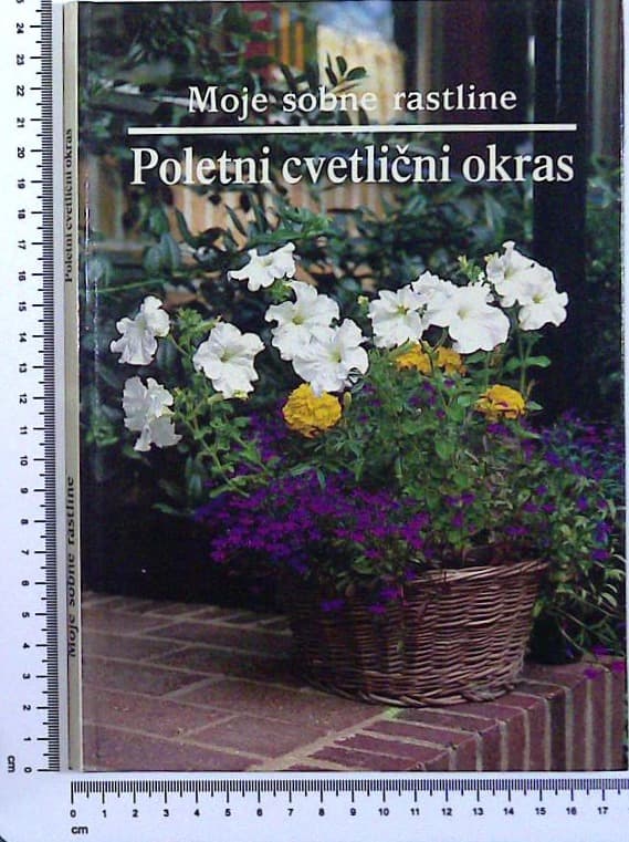 Moje sobne rastline / Poletni cvetlični okras