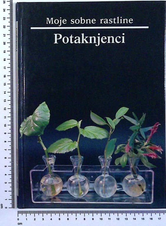 Moje sobne rastline / Potaknjenci