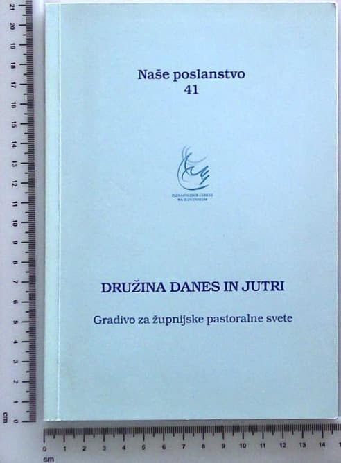 Družina danes in jutri : Gradivo za župnijske in pastoralne svete