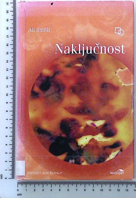 Naključnost
