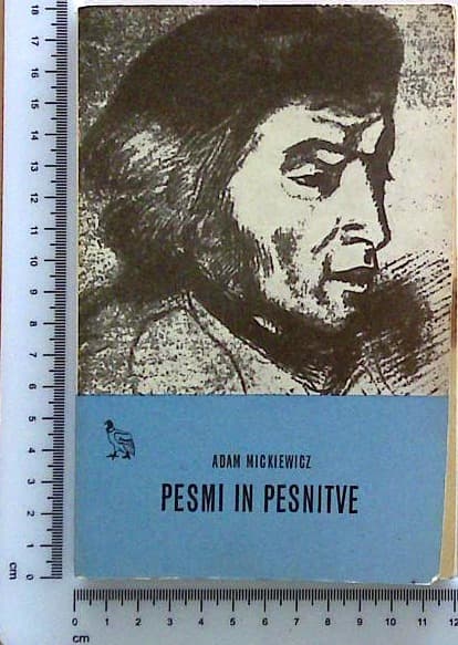 Pesmi in pesnitve