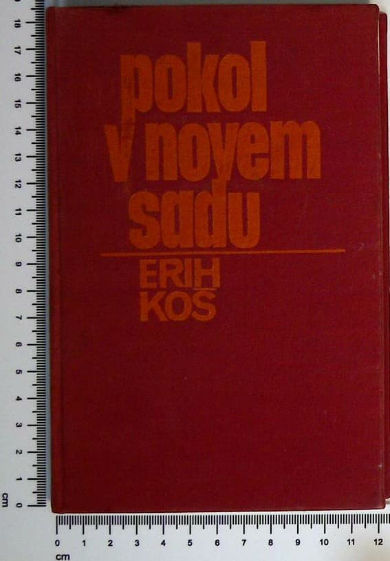 Pokol v Novem Sadu