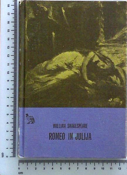 Romeo in Julija