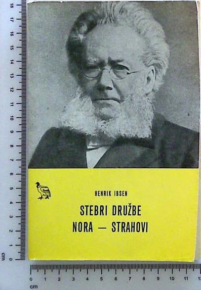 Stebri družbe, Nora, Strahovi
