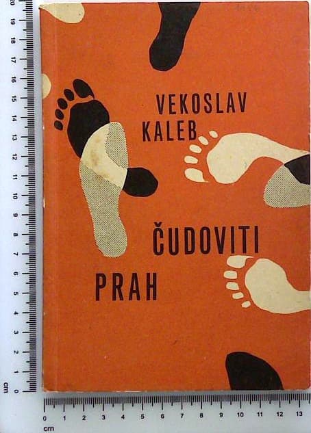 Čudoviti prah