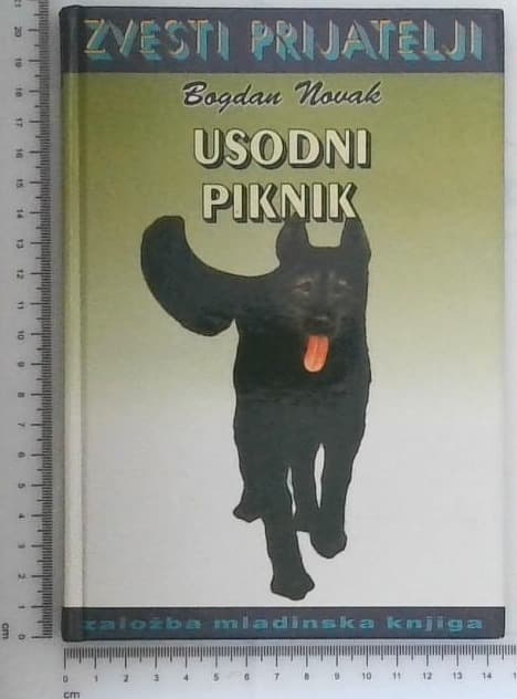 Usodni piknik
