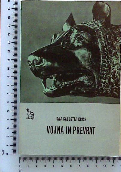 Vojna in prevrat