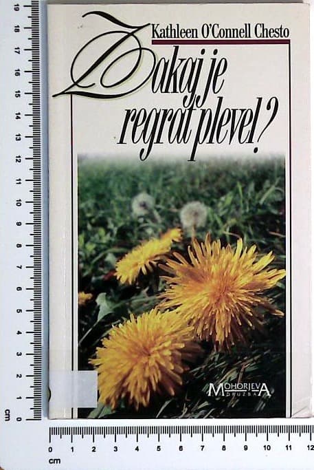 Zakaj je regrat plevel?