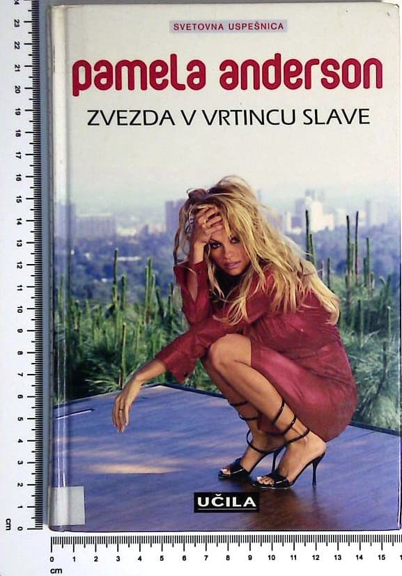 Zvezda v vrtincu slave
