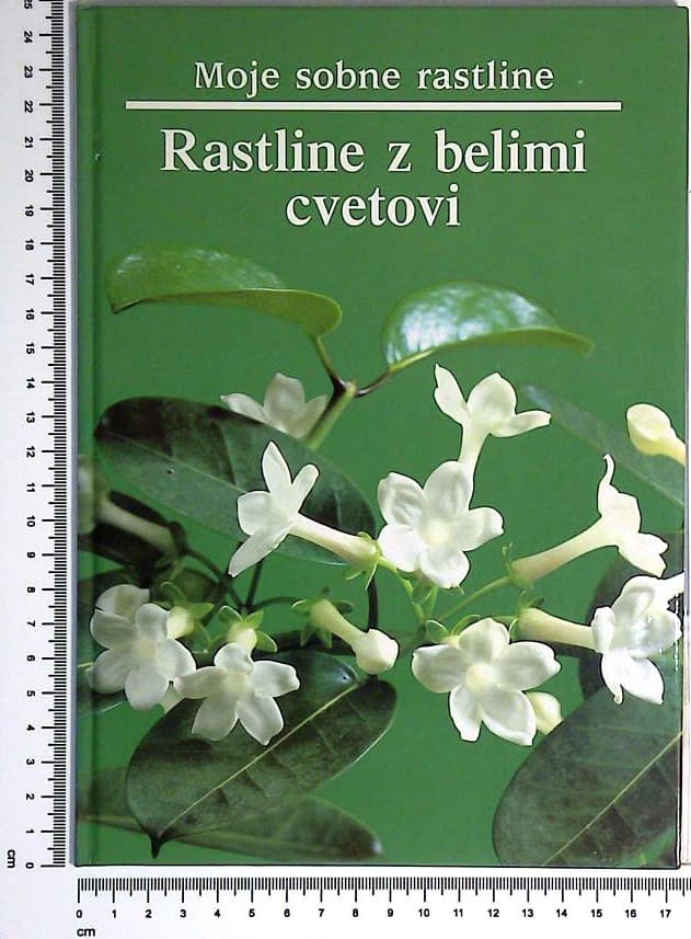 Moje sobne rastline / Rastline z belimi cvetovi
