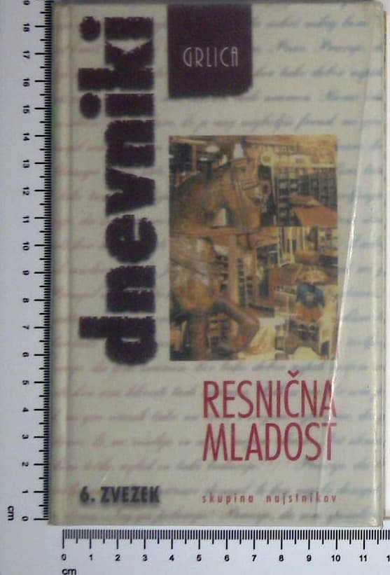 Dnevniki 6 / Resnična mladost