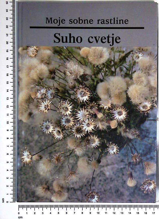 Moje sobne rastline / Suho cvetje