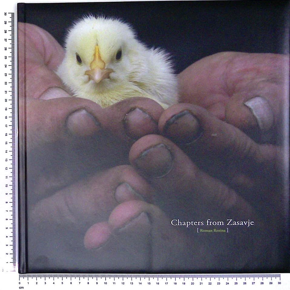 Chapters from Zasavje