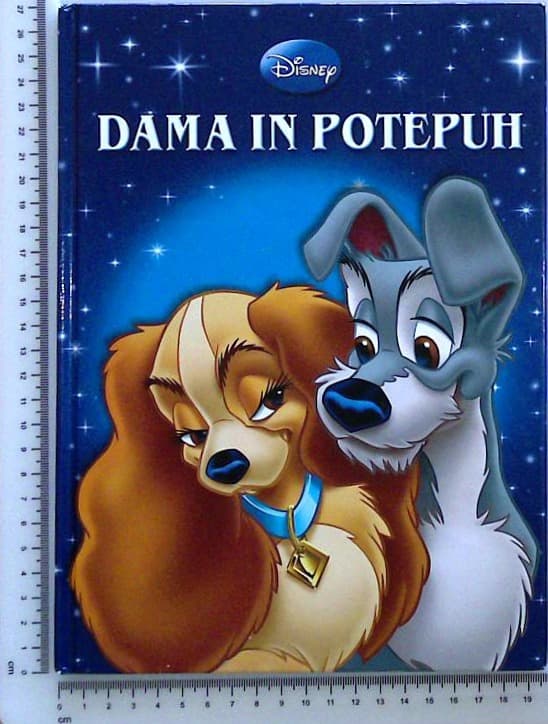 Dama in potepuh