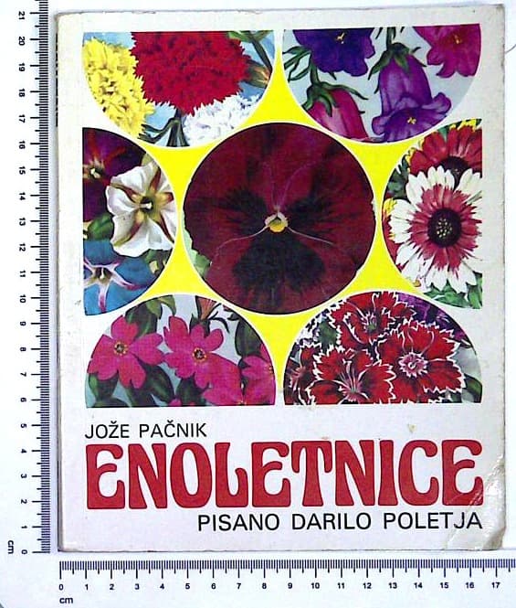 Enoletnice
