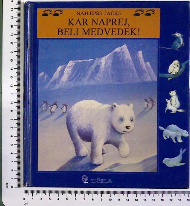 Kar naprej beli medvedek!