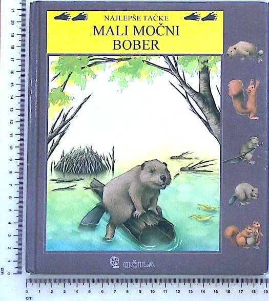 Mali močni bober