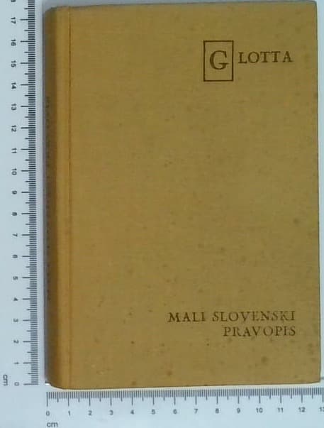 Mali slovenski pravopis