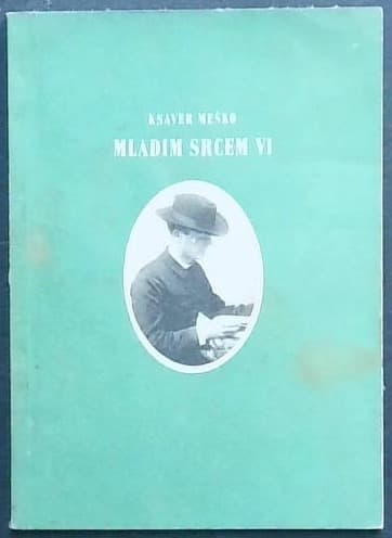 Mladim srcem VI.
