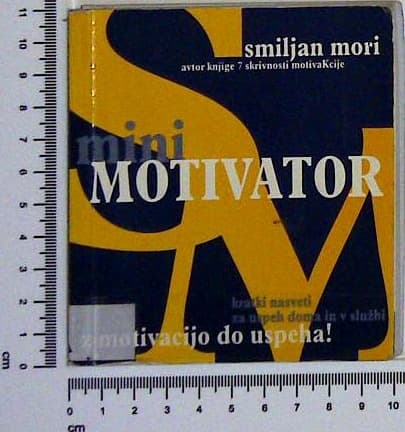 Mmini motivator : kratki nasveti za uspeh doma in v službi