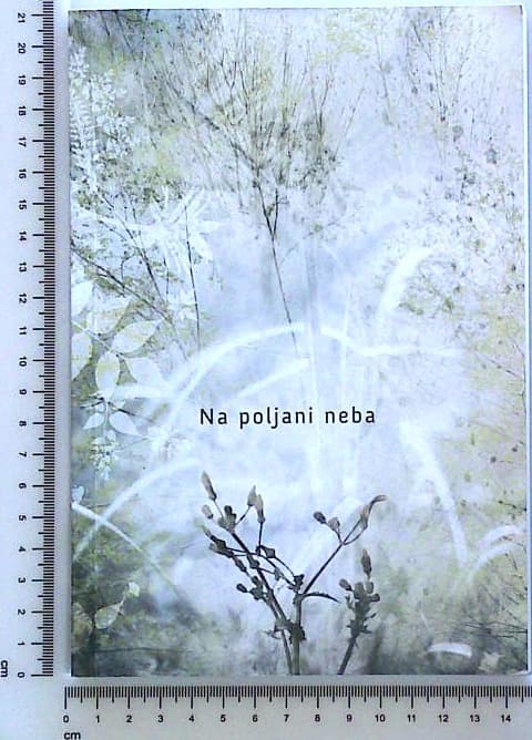 Na poljani neba
