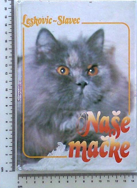 Naše mačke