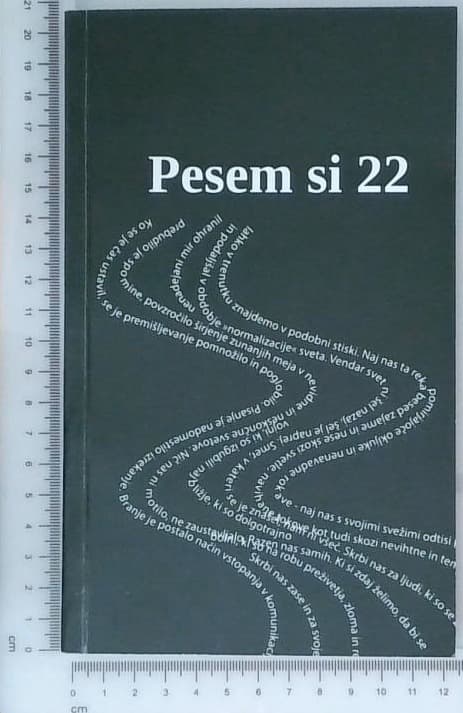 Pesem si 22
