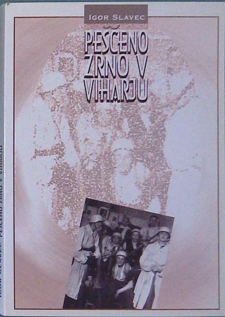 Peščeno zrno v viharju