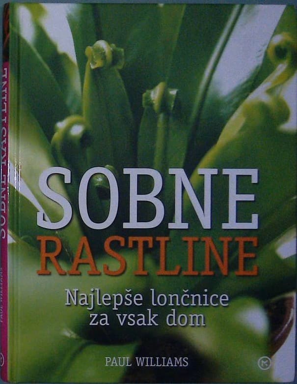 Sobne rastline /  Najlepše lončnice za vsak dom