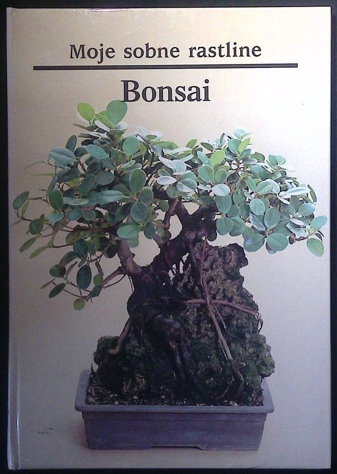Moje sobne rastline / Bonsai
